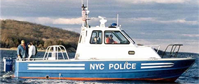 New York Police Dept 36